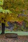 USA, New York. Park bench in Taughannock Falls State Park. Art Print